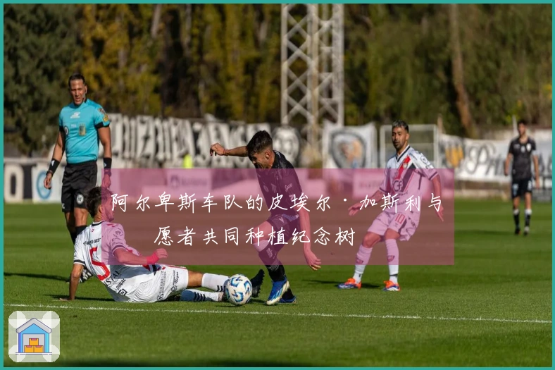 阿尔卑斯车队的皮埃尔·加斯利与志愿者共同种植纪念树