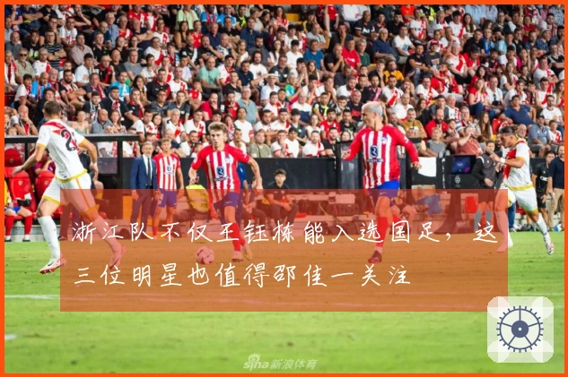 浙江队不仅王钰栋能入选国足，这三位明星也值得邵佳一关注